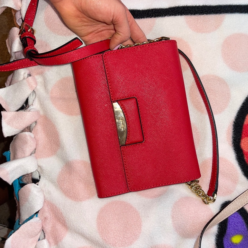 Calvin Klein purse